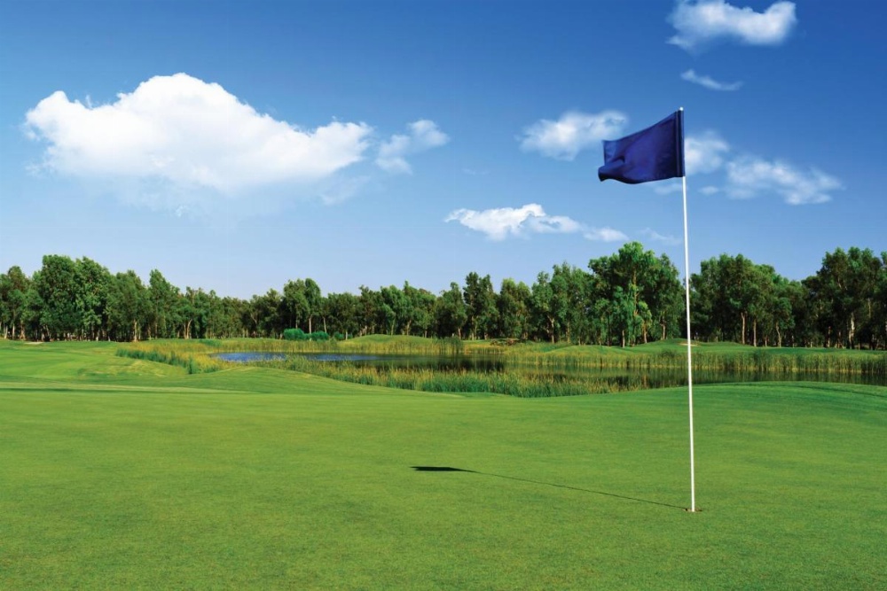 Wyndham Resort at Fairfield Glade Image 18