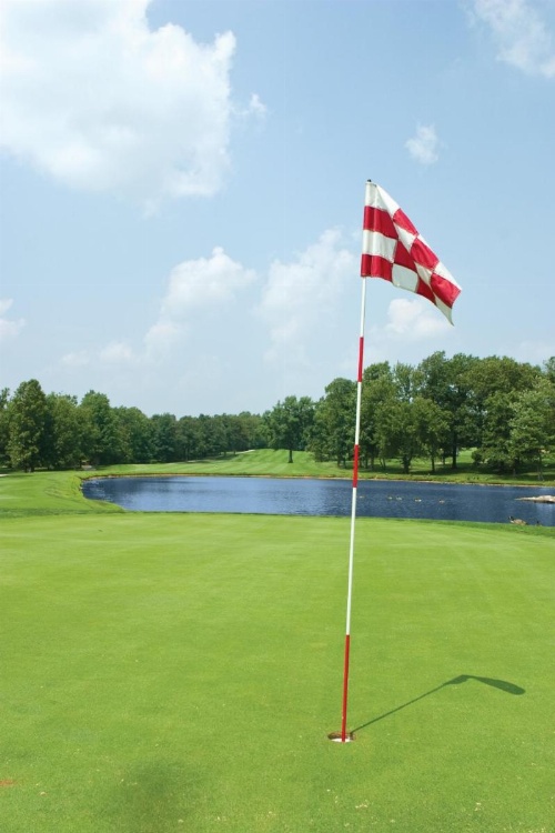 Wyndham Resort at Fairfield Glade image 26
